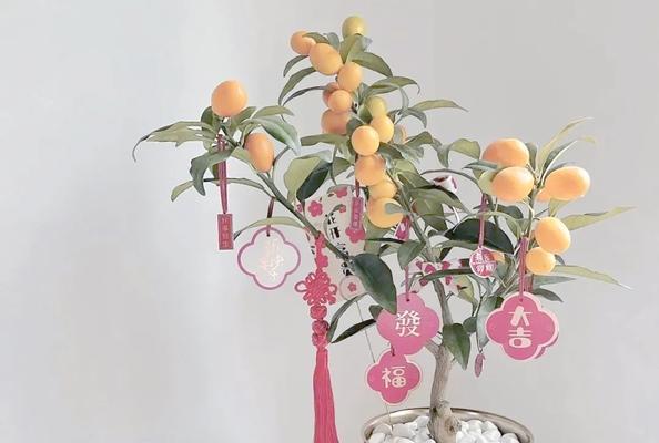 哪些花的寓意是很好？它们如何传递正能量？