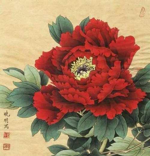 红色牡丹花寓意何在？红色牡丹花在文化中的象征意义是什么？