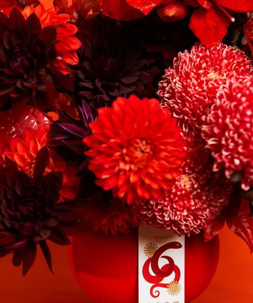 红宝花的寓意是什么：红宝花代表什么及其象征意义