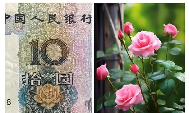 人民币上的花代表什么寓意？人民币花卉图案的含义是什么？