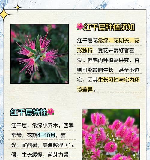 花不摘花的含义是什么？这一行为背后的文化含义是什么？