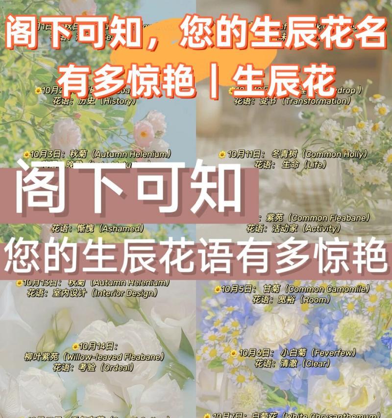 蛇姐的象征花是什么？它代表了哪些意义？