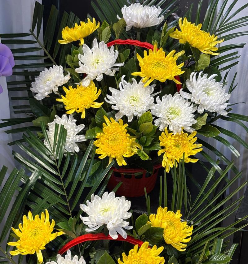 重逢时应送哪些花束？它们的象征意义是什么？