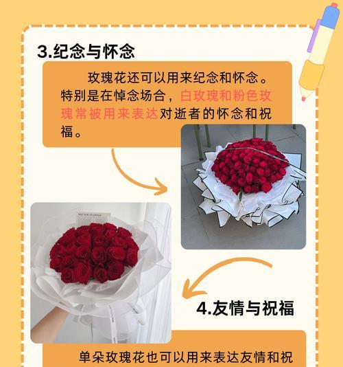 掏玫瑰花的含义及其象征意义是什么？