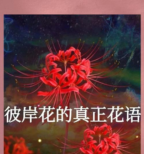花语的真正含义是什么？如何理解花的语言？