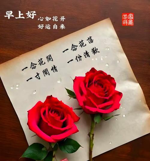 遇到良人时，哪些花象征着这一美好时刻？