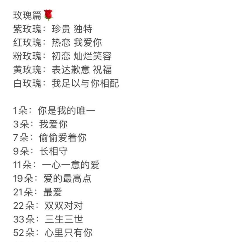 卡丁花的寓意和花语是什么？如何理解卡丁花的含义？