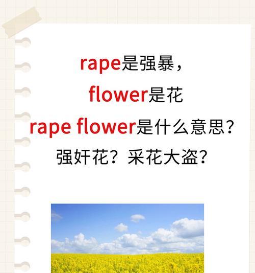 卡丁花的寓意和花语是什么？如何理解卡丁花的含义？