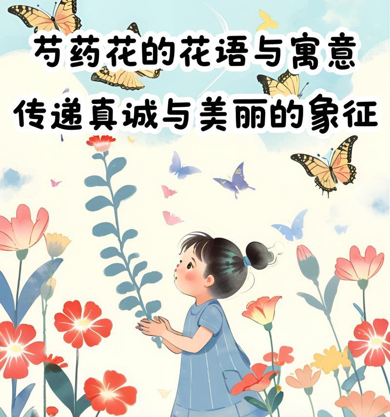 帮助他人的花有哪些？它们的花语是什么？