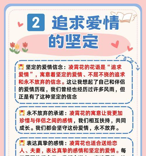 帮助他人的花有哪些？它们的花语是什么？