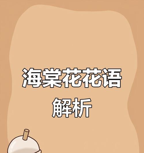 思念的花语有哪些？哪些花代表思念？