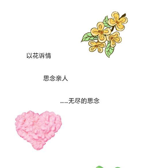 思念的花语有哪些？哪些花代表思念？