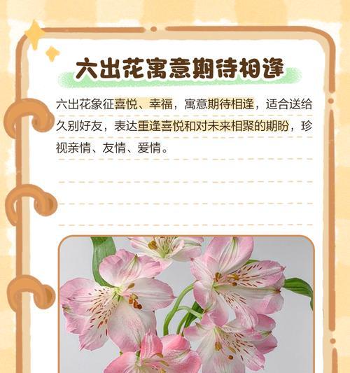 六出百合花语有何象征意义？它代表了什么？