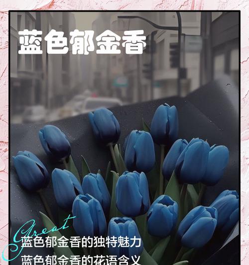 郁金香的花语有哪些含义？郁金香的象征意义是什么？