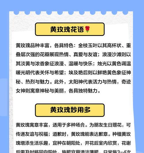 弯曲的玫瑰花有何含义？花语中代表了什么？