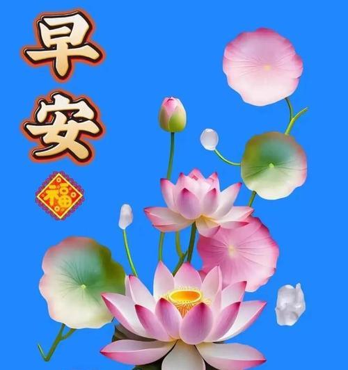 哪些花象征吉祥祝福？