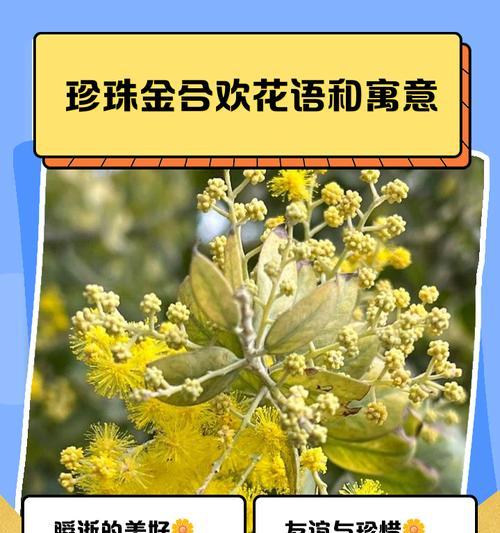 党花的寓意有哪些？党花在政治文化中的象征意义是什么？