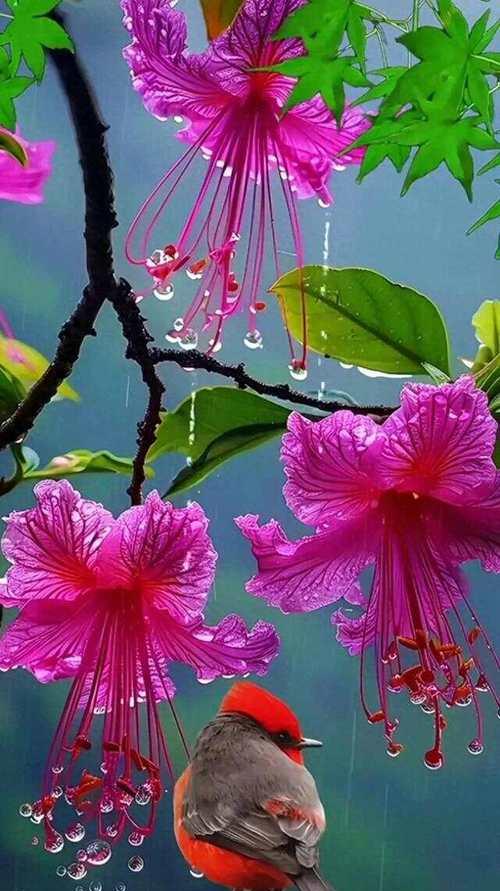 勇猛动物的花卉象征是什么？这些花卉代表了什么？