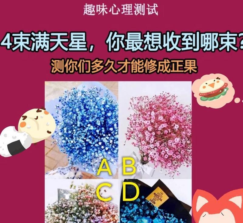 粉满天星的花语是什么？它代表了哪些情感？