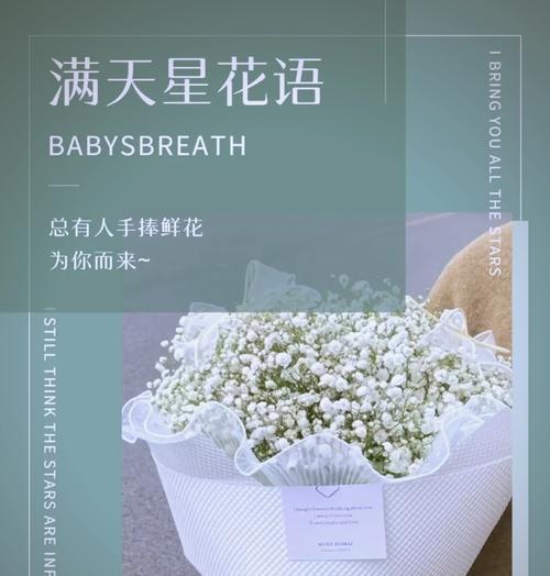 粉满天星的花语是什么？它代表了哪些情感？