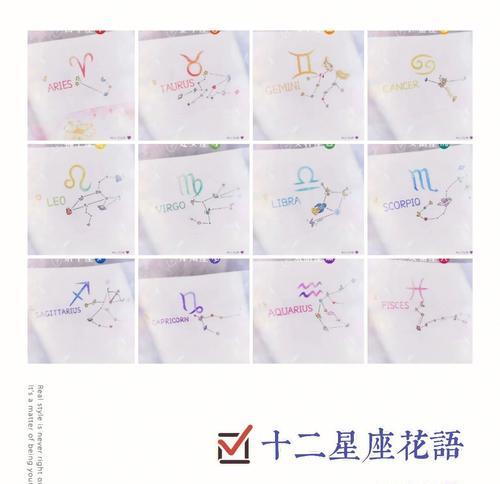 送给金牛座的花有何含义？金牛座的花语代表了什么？