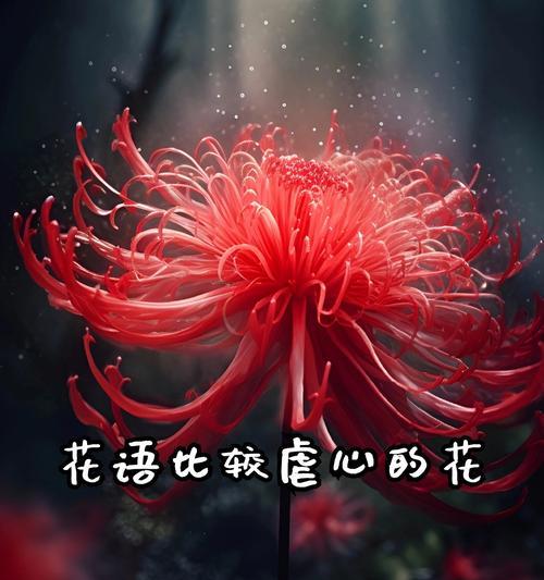 花语什么意思？花的花语背后隐藏着什么故事？