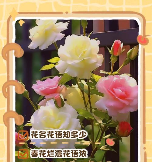 浣花流沙在文学中的应用如何？