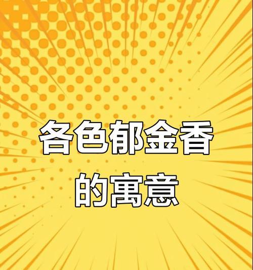 不同颜色的花各自代表什么含义？它们在花语中分别象征着什么？