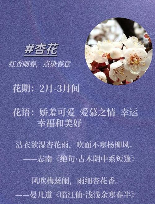 花朵的花语有哪些？如何用花朵传递情感？