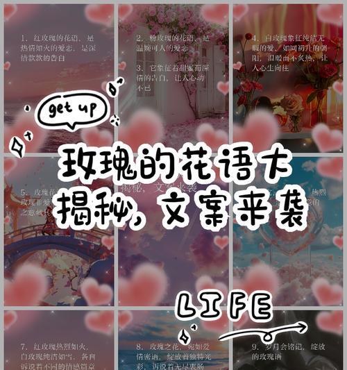 白玫瑰和粉玫瑰花语有何不同？选择玫瑰表达情感的技巧是什么？