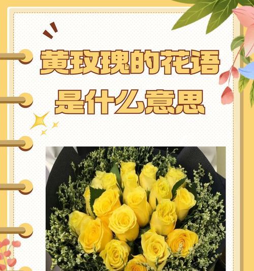 玫瑰每朵花语有何不同？
