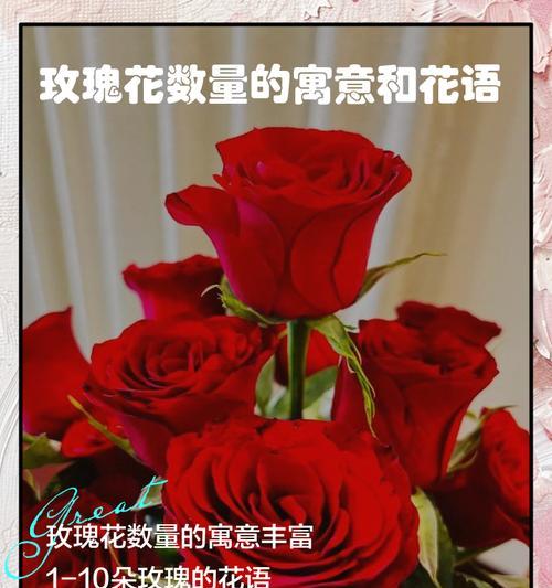 99朵玫瑰的花语含义是什么？99朵玫瑰代表什么？