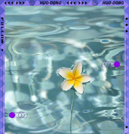 复活的花有哪些寓意？花卉如何代表重生与希望？