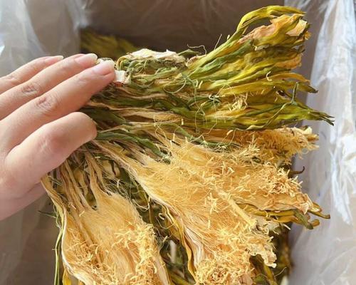 剑花的含义有哪些？剑花的象征意义是什么？