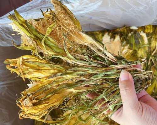 剑花的含义有哪些？剑花的象征意义是什么？