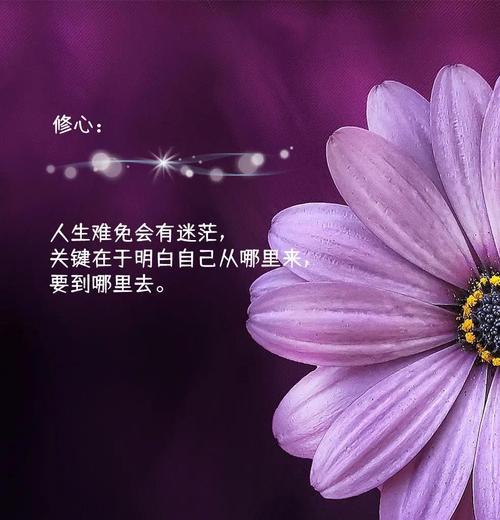 修心养性的花有哪些？它们的寓意是什么？