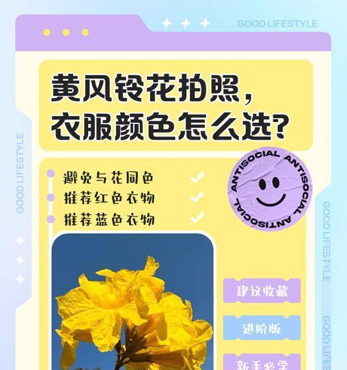 风铃花颜色代表什么意义？