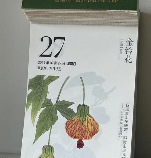 金铃花象征着什么？它的意义是什么？
