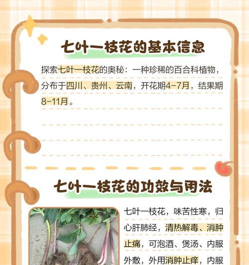 七千束花的含义是什么？