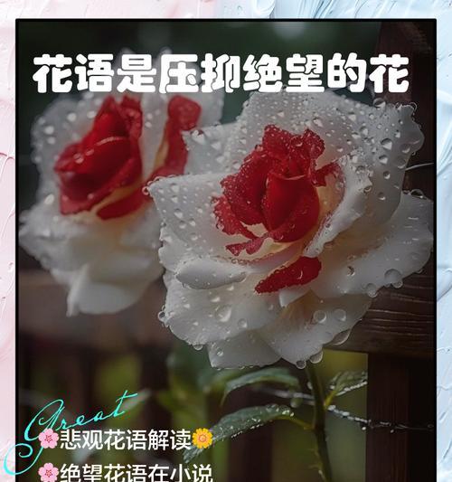 解花语是什么含义？如何解读花语的深层含义？