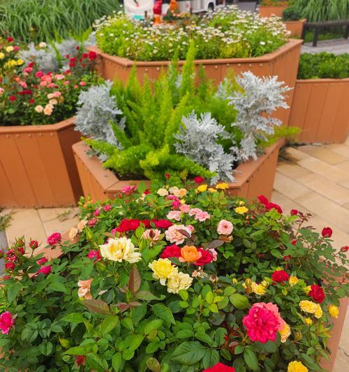 花的植物学含义是什么？花作为植物的含义是什么？