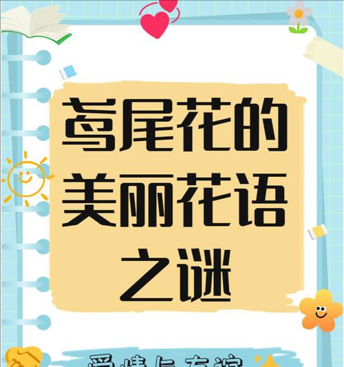 象征幸福浪漫的花有哪些？它们如何成为爱情的象征？