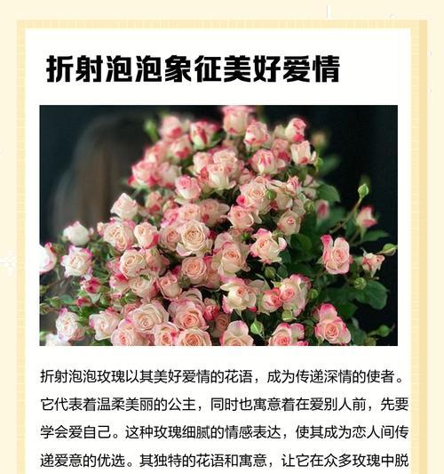 折射花的含义是什么？花语中折射花代表什么？