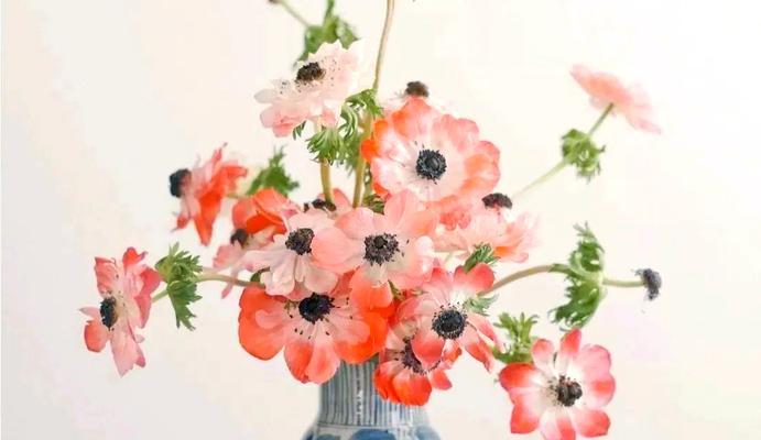 哪些花寓意夫妻和睦幸福？如何用花表达对婚姻的美好祝愿？