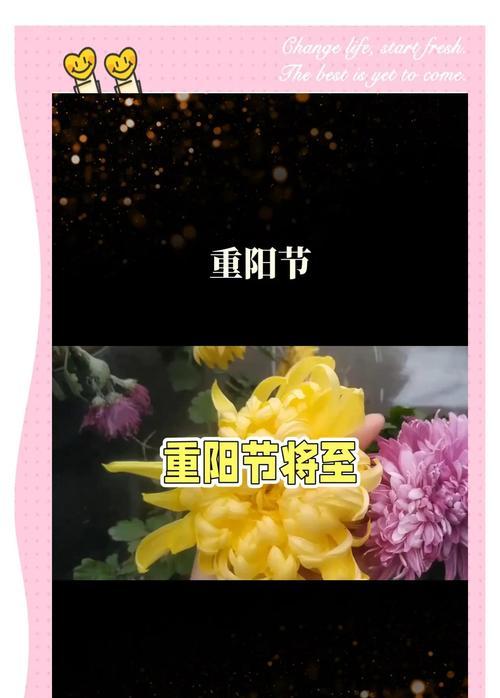重阳节饮菊花酒有什么寓意？