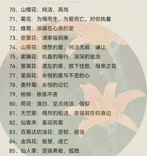 云子花胸针代表什么？云子花胸针的含义是什么？
