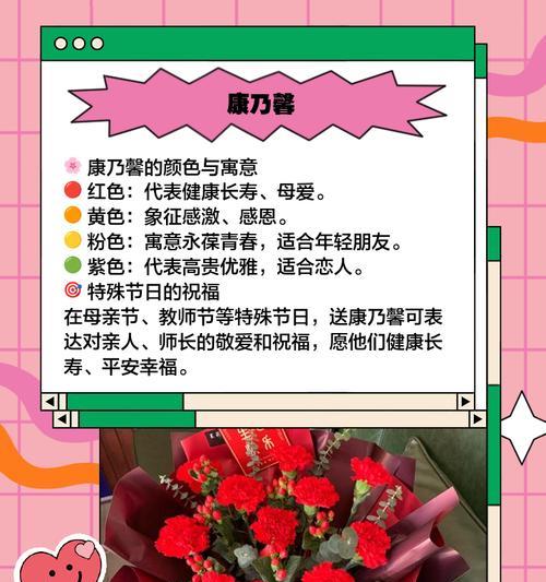庇护花的寓意是什么？它们如何表达保护之意？