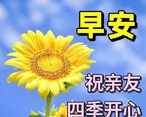 佛甲草的花语：它传递了哪些特别的情感？