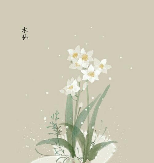 散兵象征的花有哪些？它们的花语代表什么意义？