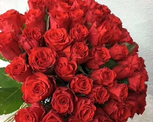 散兵象征的花有哪些？它们的花语代表什么意义？